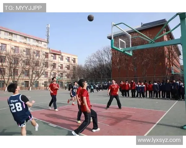 崔篮球的热血青春：从校园到职业赛场的奋斗与梦想